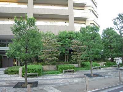 �}���V����