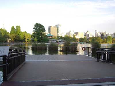 �r�̂������